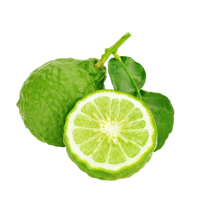 BERGAMOT - Bergamot shines with an aromatic complexity that transports you to the sun-drenched orchards of southern Italy. It sparkles with a citrusy zest, counterbalanced by a subtle spicy sweetness that is evocative of an early morning dew-kissed garden. There's a soothing undercurrent to this note, reminiscent of a comforting cup of tea, adding a profound depth to its bright exterior. The bergamot note is a blend of spirited energy and sophisticated calm, making it a treasured addition in perfumery.