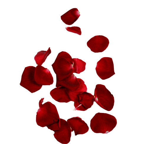 Classic and timeless. Known for its lush and floral aroma. Its delicate scent is both romantic and sophisticated, with notes of rose petals and a hint of sweetness.