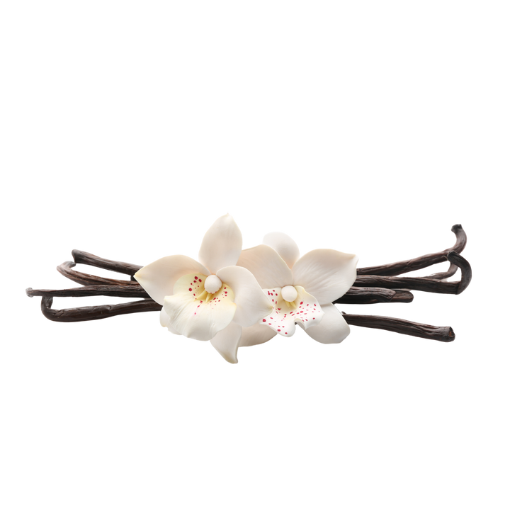Vanilla. A warm, sweet, and comforting note that can have darker, almost boozy facets. It contributes a lingering sweetness.